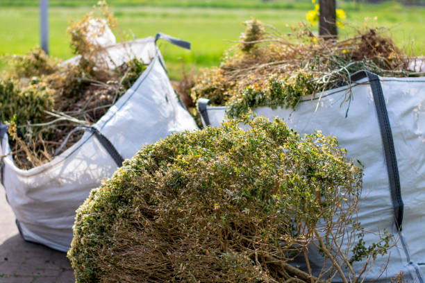 Professional Junk Removal in West Carson, CA